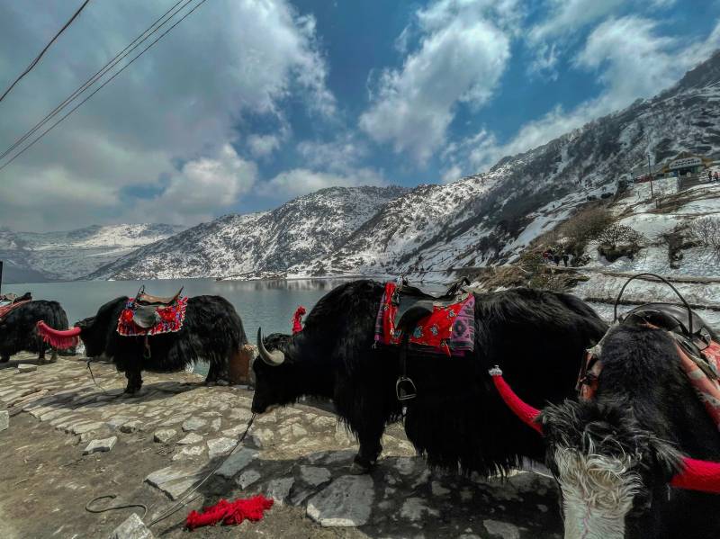 Gangtok Tour