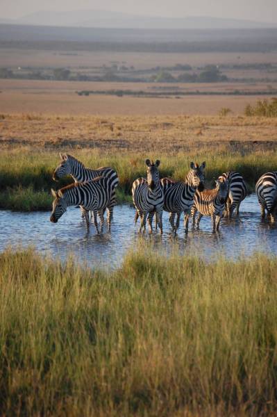 3 Days 2 Nights Masai Mara National Reserve