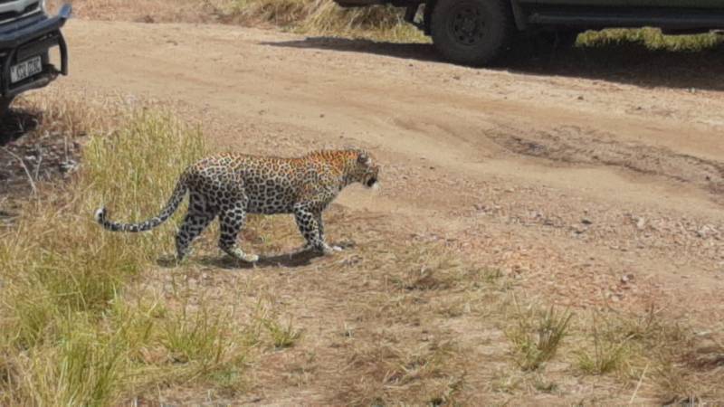 3 Days 2 Nights Masai Mara National Reserve