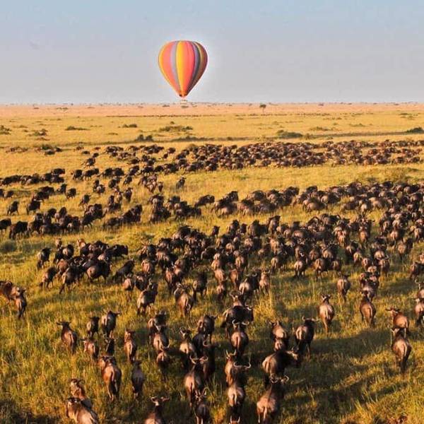 3-Day Masai Mara Migration Budget Safari