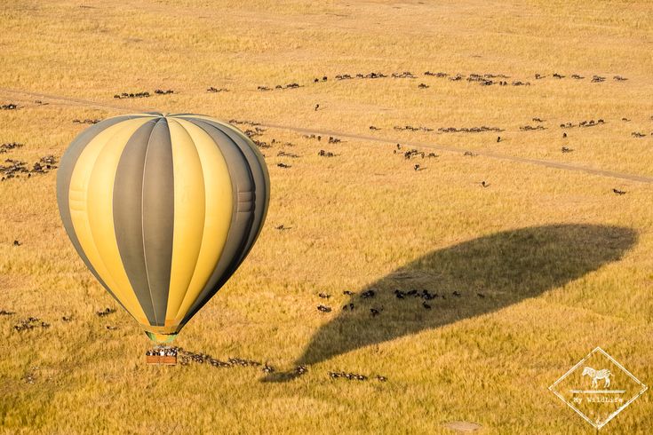 3-Day Luxury Masai Mara Migration Safari