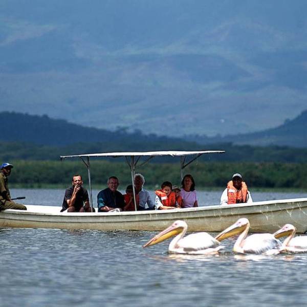 4-Day  Masai Mara, Lake Nakuru, and Lake Naivasha Safari
