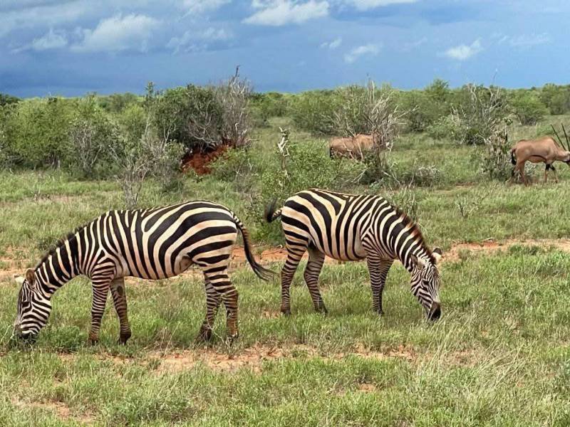 3 Nights 4 Days Maasai Mara Narok