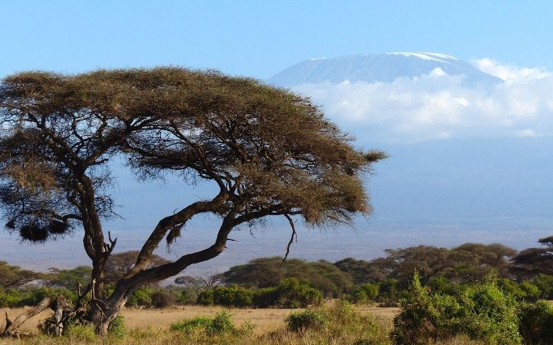3 Days Nairobi Safari To Amboseli And Tsavo West Tour Image