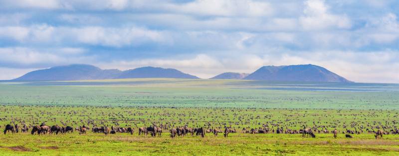 6-day Highlights of Tanzania Mid-range Safari