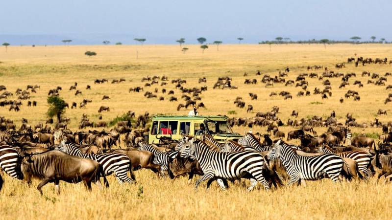 6-day Highlights of Tanzania Mid-range Safari