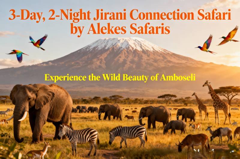 Jirani Connection Safari