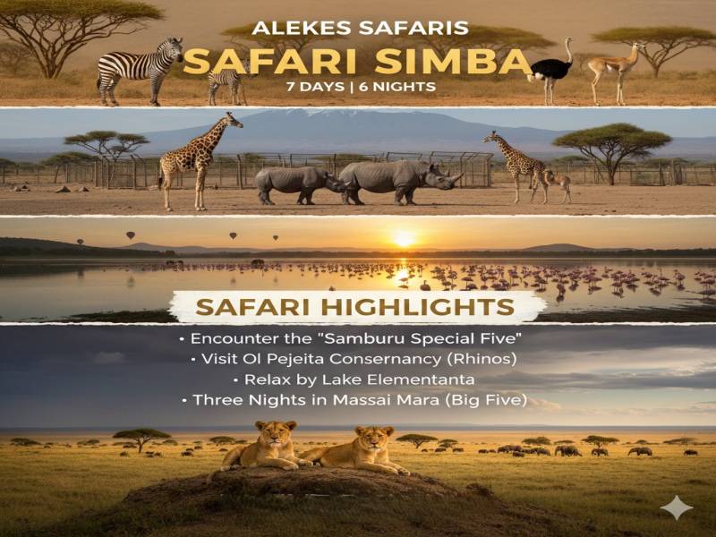 Safari Simba Tour Image