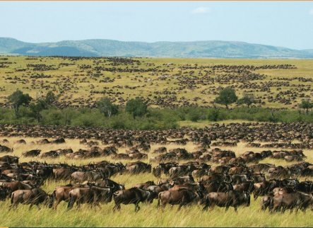 5 Night - 6 Days Sustainable Safari Tour