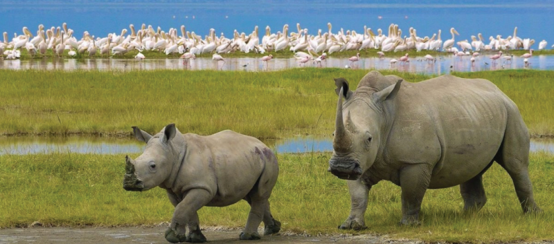 11 Night - 12 Days Kenya - Countryside Express Tour