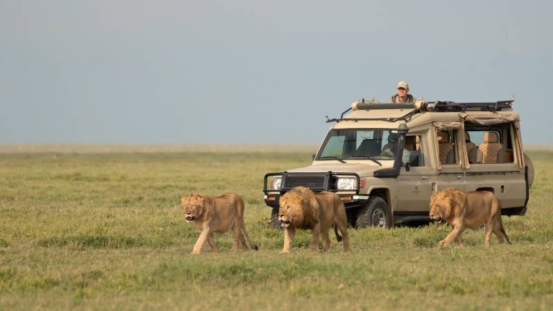 5 Day Tanzania Budget Camping Safari Image