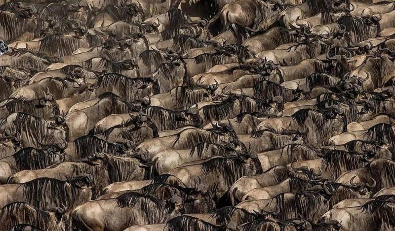 5 Day Tanzania Budget Camping Safari