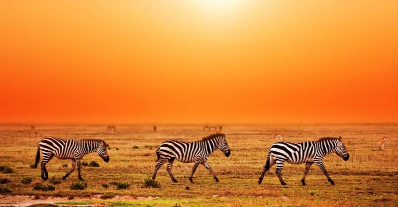 6 Day Tanzania Adventure Budget Camping Safari