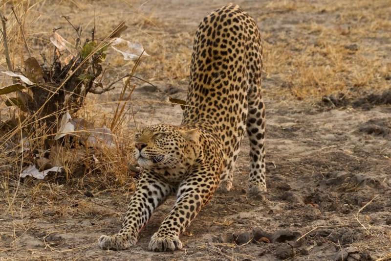 6 Day Tanzania Adventure Budget Camping Safari