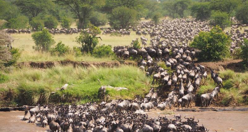 5-Day Tanzania Safari – Mid-Range Experience Image