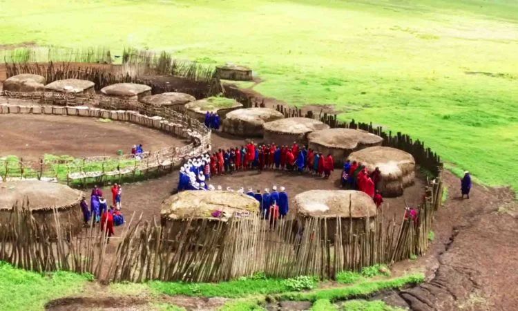 1 Day Maasai Village Tour