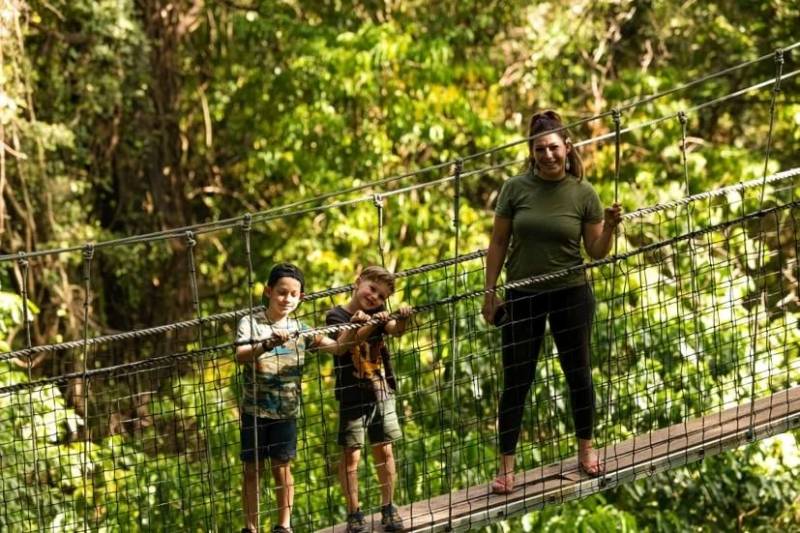Lake Manyara Tree Top Walkway Tour