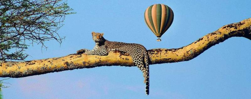 Balloon Safari Tour Package