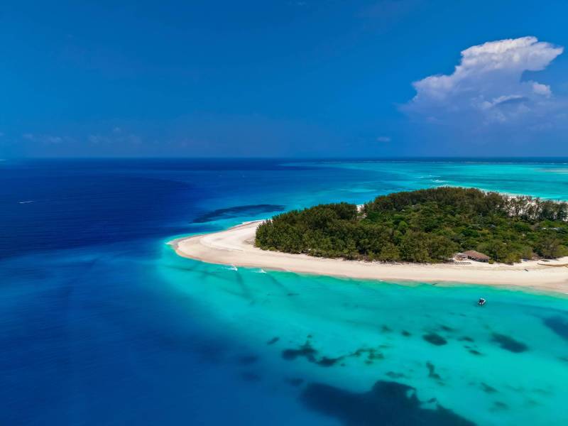 Snorkeling With Dolphin At Mnemba Island, Zanzibar