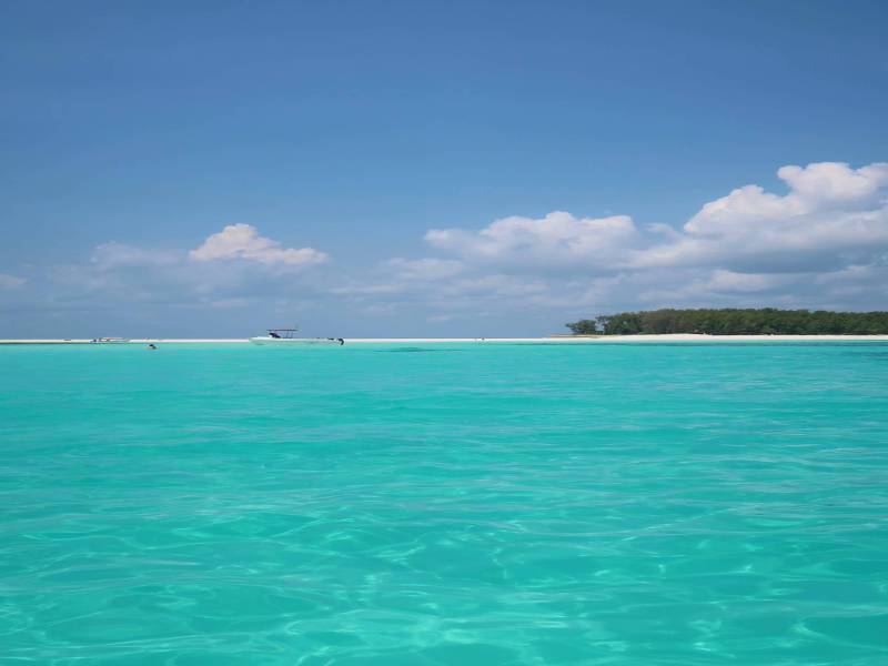 Snorkeling With Dolphin At Mnemba Island, Zanzibar