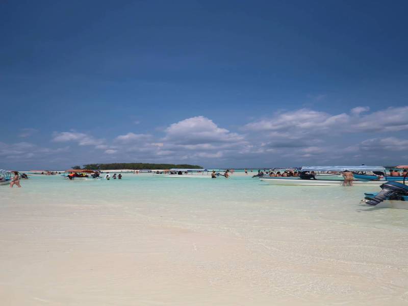 Snorkeling With Dolphin At Mnemba Island, Zanzibar