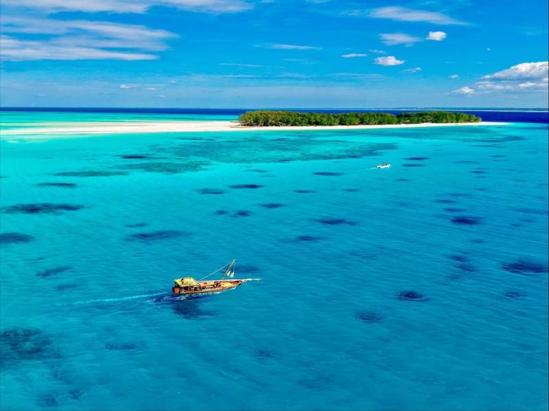Snorkeling With Dolphin At Mnemba Island, Zanzibar