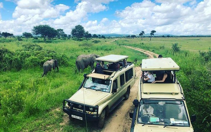 2- Day Mikumi from Dar Es Salaam