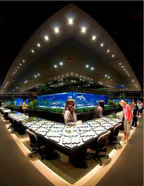 3N Pattaya 1 N Bangkok Tour