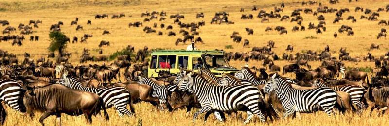 6D Safari Lake Manyara - Serengeti Plains - Ngorogoro Crater - Tarangire Tour