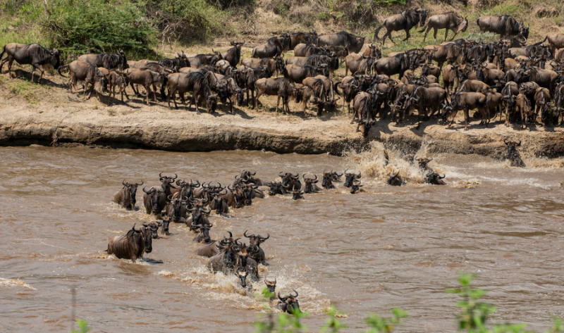 9 Days Photography Safari Tour Image