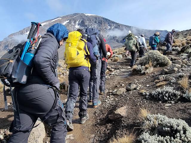 Climb Kilimanjaro Via Marangu Route.