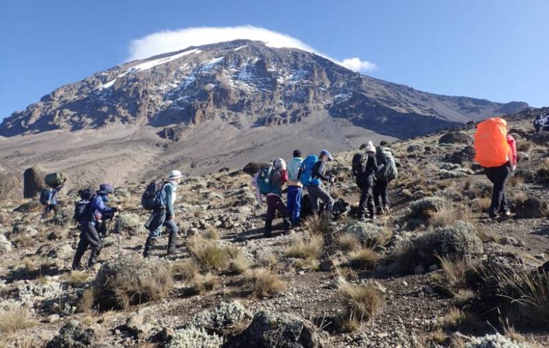 7 Days Marangu Route Tour