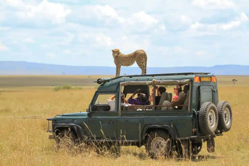 Iconic Kenya Safari 6 Nights - 7 Days Tour Image