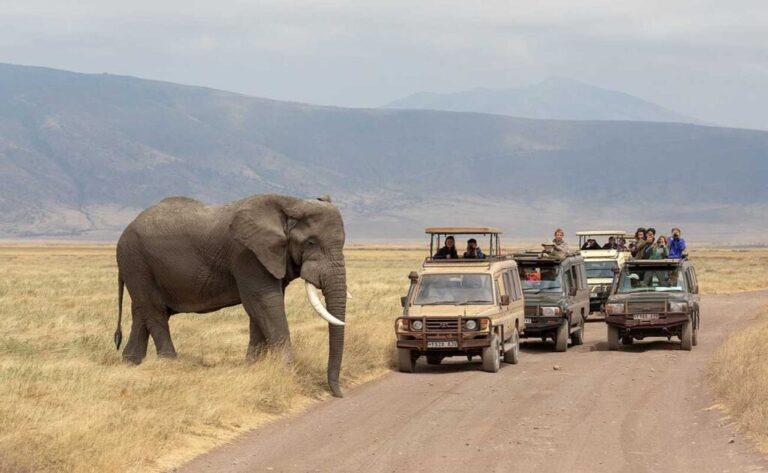 3 Days Budget Safari Manyara - Ngorongoro And Tarangire Tour Image