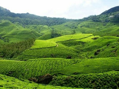 Theni – Bodi Mettu Luxury Urbania Escape