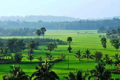 Theni To Cochin Luxury Group Journey