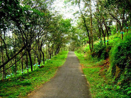 Theni To Sirumalai Hills Group Tour (1 Night / 2 Days)