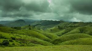 Theni & Vagamon: Meadows, Pine & Heritage (3 Nights / 4 Days)