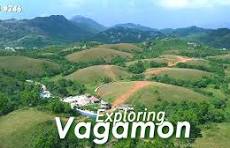 Theni & Vagamon: Meadows, Pine & Heritage (3 Nights / 4 Days)