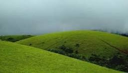 Theni & Vagamon: Meadows, Pine & Heritage (3 Nights / 4 Days)