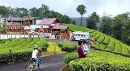 Theni & Vagamon: Meadows, Pine & Heritage (3 Nights / 4 Days)
