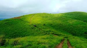 theni to Vagamon & Kuttikkanam: The Misty Hills Express (1 Night / 2 Days)