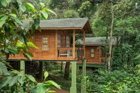 theni to Vagamon & Kuttikkanam: The Misty Hills Express (1 Night / 2 Days)