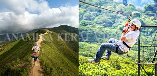 Theni to Vagamon Meadows & Adventure (2 Nights / 3 Days) Image