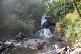 Theni to Vagamon Meadows & Adventure (2 Nights / 3 Days)