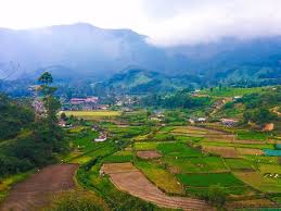 Theni to Bangalore & Sightseeing (2N / 3D) by Luxury 40 Seater (2+2) AC Coach