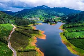 Meghamalai: The High Wavy Mountain Escape (2 Nights / 3 Days)