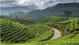 2-night, 3-day Itinerary Focusing On the Famous Dams of Theni