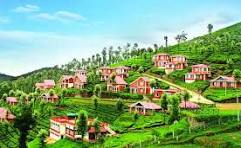 Theni to Ooty: 2 Nights / 3 Days Luxury Caravan Tour