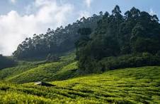 Theni – Wayanad – Theni (2N/3D) 40-Seater Luxury AC Bus